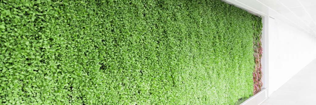 Banheiro comercial com Jardim Vertical