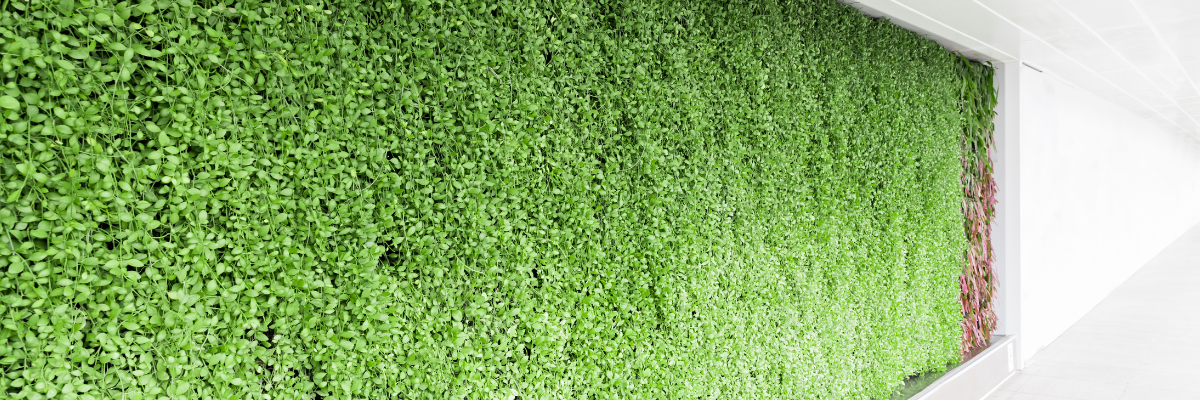 Banheiro comercial com Jardim Vertical
